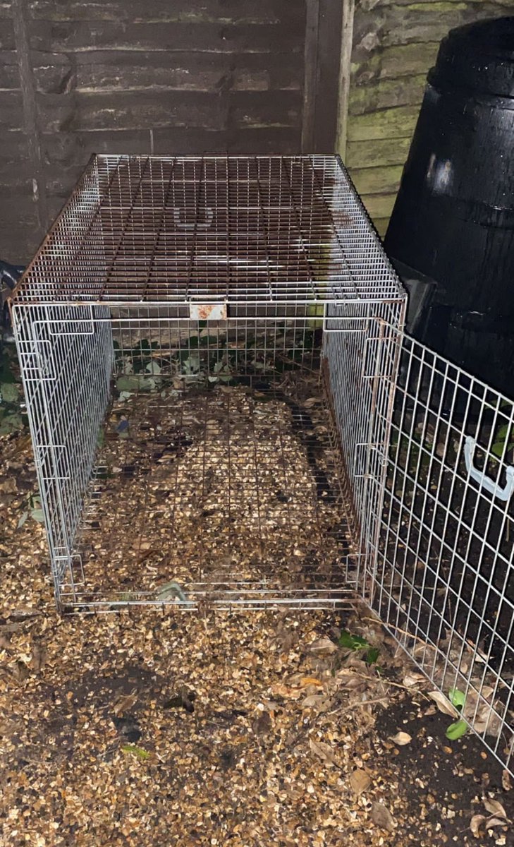 Doesn’t it look so cosy, warm and inviting? #caged #outdoorplay #bdsm