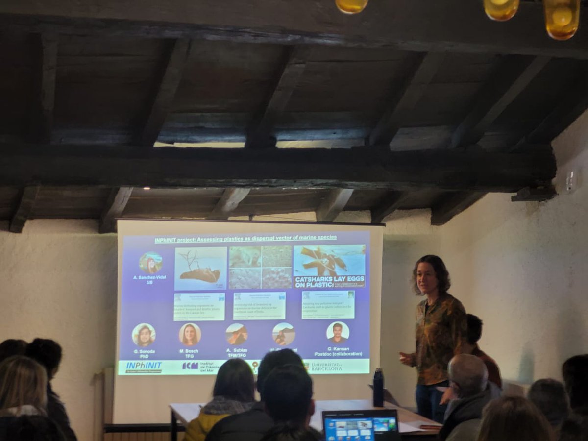 Marine calcifiers (@marcalcifiers) on Twitter photo Last week we were in the annual <a href="/Med_Recover/">MedRecover</a> retreat. Gabriel was presenting some of his PhD objectives and results and <a href="/BlancaFiguerola/">Blanca Figuerola</a> was presenting some of her projects. We had interesting discussions 😊 Looking forward to the next one! #MedCalRes #HOLOCHANGE <a href="/aneguet77/">Anna Sanchez Vidal</a> Last week we were in the annual <a href="/Med_Recover/">MedRecover</a> retreat. Gabriel was presenting some of his PhD objectives and results and <a href="/BlancaFiguerola/">Blanca Figuerola</a> was presenting some of her projects. We had interesting discussions 😊 Looking forward to the next one! #MedCalRes #HOLOCHANGE <a href="/aneguet77/">Anna Sanchez Vidal</a>