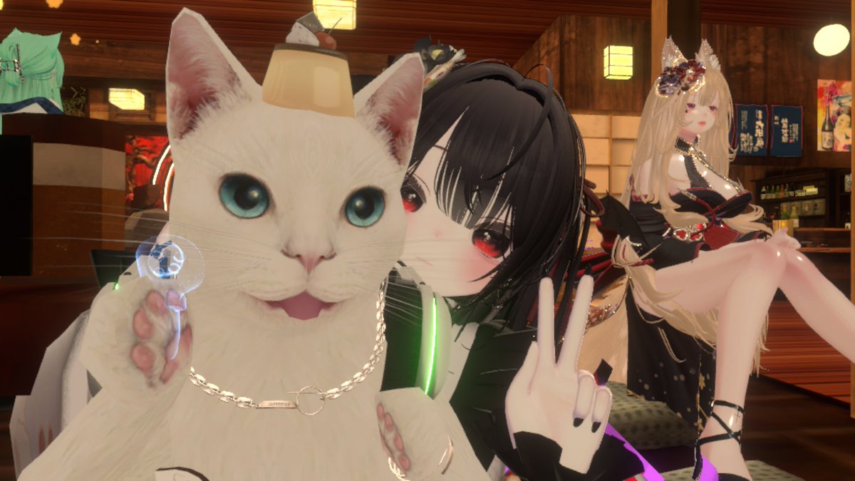 猫の後ろで顔出してるのかわいすぎ。
そしてなぜかコントローラー写ってる。。