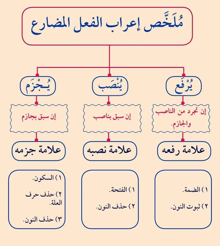 معلم اللغة العربية (@arabic_teacher5) on Twitter photo 