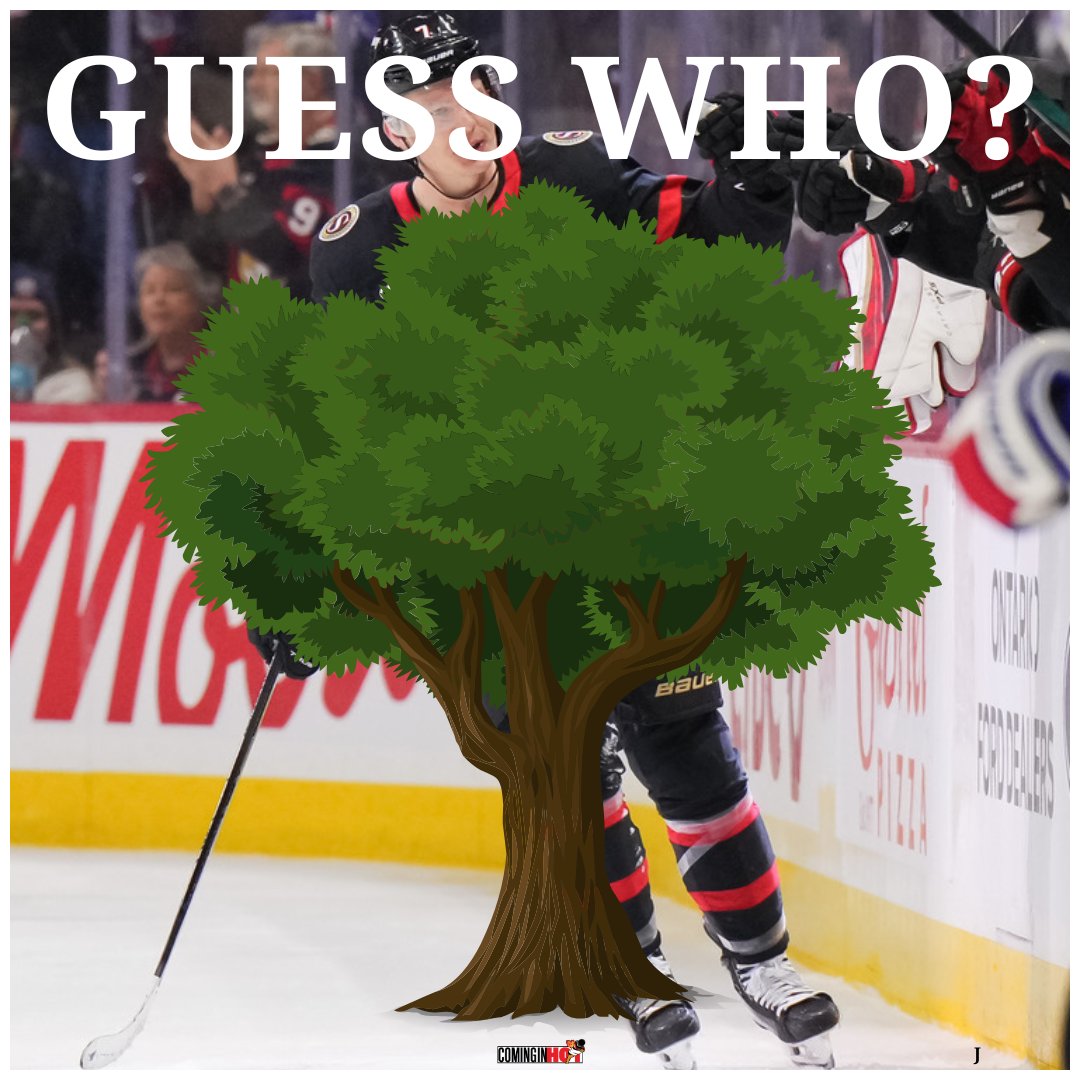 We will give away 3 sets of tickets next week If 100 people can identify this animal behind the tree in the comments! (like/share)

Drop your guess below👇