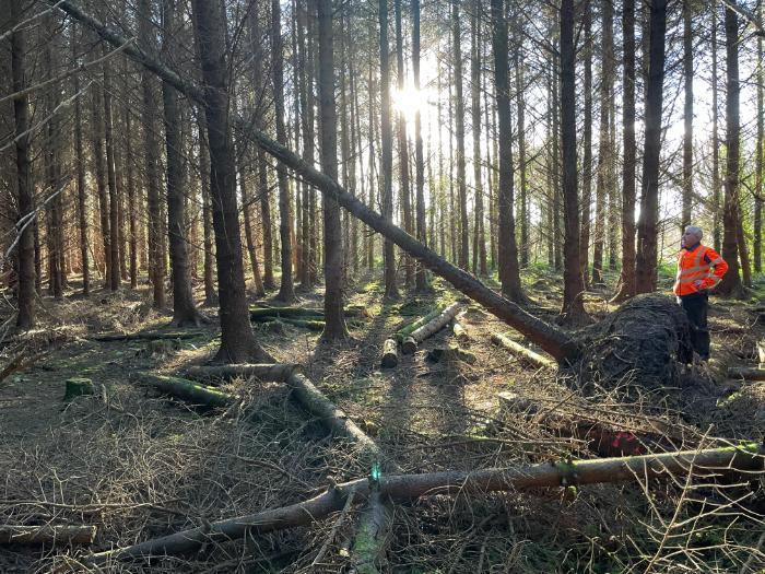 teagasc's tweet photo. Since the recent storms hit, @teagascforestry Advisors have been working closely with affected owners, providing direct support through one-on-one clinics, consultations in local offices, phone engagements, and collaborative events. Find out more https://t.co/QrMZahwzpC https://t.co/yI8zvhoATj