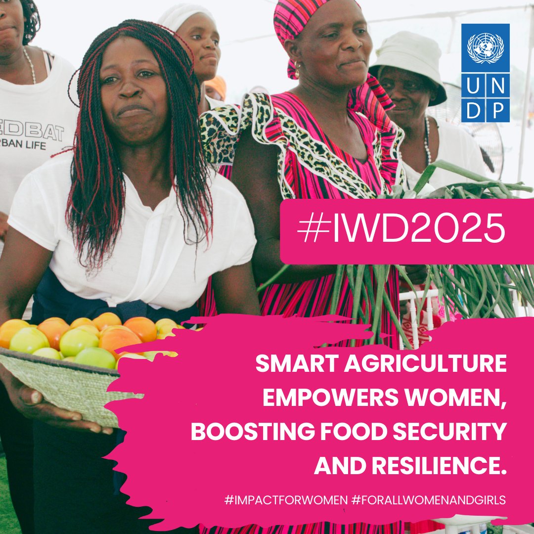 UNDP Namibia (@undpnamibia) on Twitter photo <a href="/UNDPNamibia/">UNDP Namibia</a> is empowering women & girls, one step at a time!
Thanks to the <a href="/JapanGov/">The Gov't of Japan</a>, <a href="/MAWLR_Nam/">MAWLR NAMIBIA</a>, 220 households (60% women-led) in 8 regions now have solar-powered irrigation, boreholes, & storage houses with toilets—boosting food security & economic resilience! 💪 #IWD <a href="/UNDPNamibia/">UNDP Namibia</a> is empowering women & girls, one step at a time!
Thanks to the <a href="/JapanGov/">The Gov't of Japan</a>, <a href="/MAWLR_Nam/">MAWLR NAMIBIA</a>, 220 households (60% women-led) in 8 regions now have solar-powered irrigation, boreholes, & storage houses with toilets—boosting food security & economic resilience! 💪 #IWD