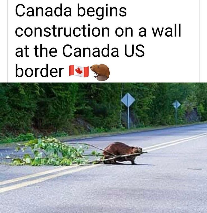 Gl3UIdaWoAAvon6?format=jpg&name=small