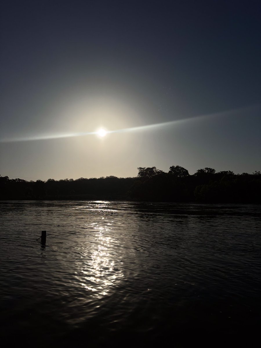 Decided to start sharing the random nature shots I’ve captured 🌿📸