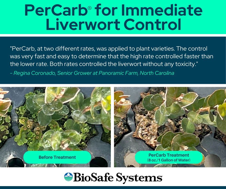 BioSafe_Systems's tweet image. s3-us-west-1.amazonaws.com/agrian-cg-fs1-…
PerCarb® was applied at high and low rates to control liverwort during a trial on plants at Panoramic Farms. 𝗜𝘁 𝘄𝗮𝘀 𝗲𝗮𝘀𝗶𝗹𝘆 𝗱𝗲𝘁𝗲𝗿𝗺𝗶𝗻𝗲𝗱 𝘁𝗵𝗮𝘁  𝗯𝗼𝘁𝗵 𝗿𝗮𝘁𝗲𝘀 𝘄𝗲𝗿𝗲 𝗲𝗳𝗳𝗲𝗰𝘁𝗶𝘃𝗲 𝘄𝗶𝘁𝗵𝗼𝘂𝘁 𝗮𝗻𝘆 𝘁𝗼𝘅𝗶𝗰𝗶𝘁𝘆.