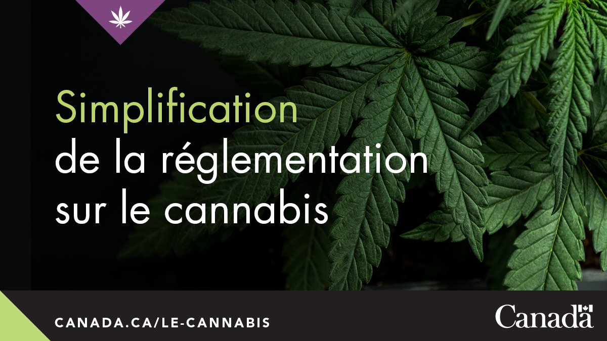 #SC a simplifié la réglementation sur le #cannabis et le #chanvre afin d’alléger le fardeau réglementaire pour les demandeurs et les titulaires de licence, et favoriser la concurrence sur le marché légal sans compromettre la santé et la sécurité publiques: ow.ly/7eOa50VgPxl