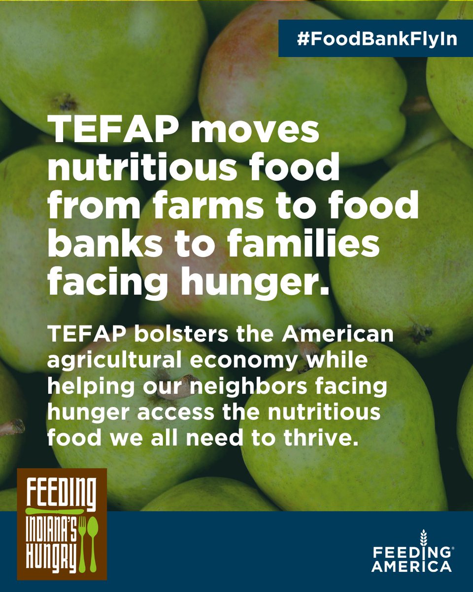 Feeding Indiana’s Hungry (@feedinshungry) on Twitter photo TEFAP helps keep food banks stocked with nutritious, American-grown food. The rate of food insecurity is higher than it's been in a decade, and cuts to federal nutrition programs would hurt our neighbors facing hunger right here in #Indiana. <a href="/FeedingAmerica/">Feeding America</a> #FoodBankFlyIn TEFAP helps keep food banks stocked with nutritious, American-grown food. The rate of food insecurity is higher than it's been in a decade, and cuts to federal nutrition programs would hurt our neighbors facing hunger right here in #Indiana. <a href="/FeedingAmerica/">Feeding America</a> #FoodBankFlyIn