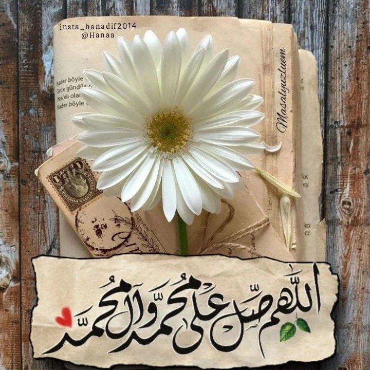 الاديب⁦⁩⁦⁦✍️ tweet media