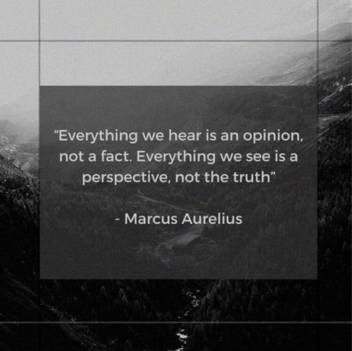 Tweet media two