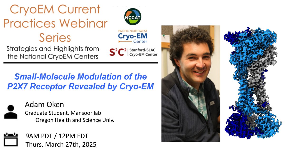 CryoEM_PNCC's tweet image. Please join us for our free monthly CryoEM Current Practices Webinar Series. Adam Oken will discuss &quot;Small-Molecule Modulation of the P2X7 Receptor Revealed by Cryo-EM.&quot; Register at cryoemcenters.org/events/