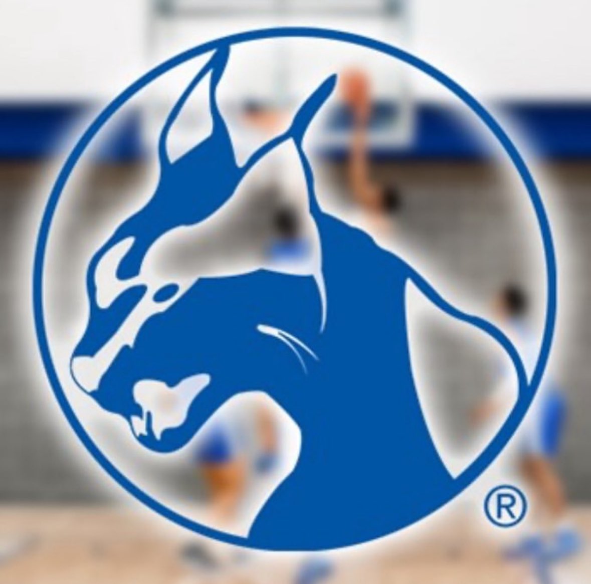 Blessed to say I’ve received an offer from Wayne County Community College. Thank you Coach Yvonne for this opportunity.