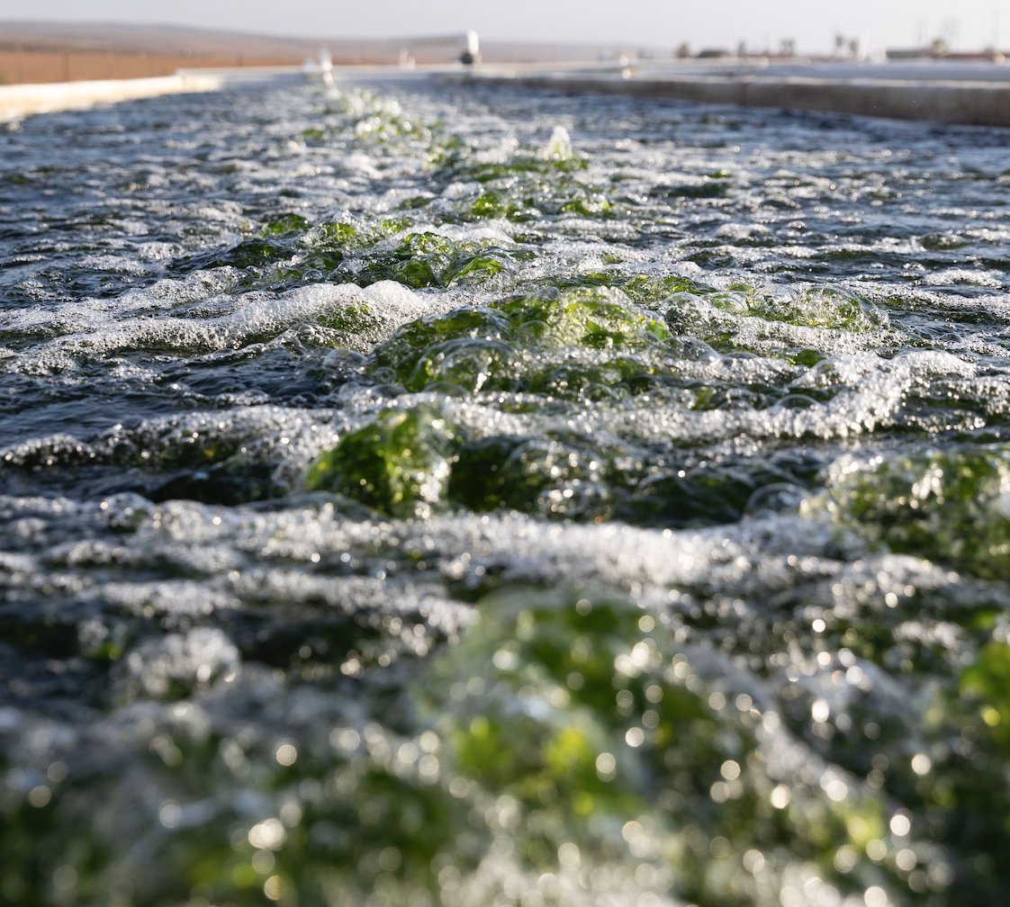 We're moving! Came see us at bsky.app/profile/blueev…