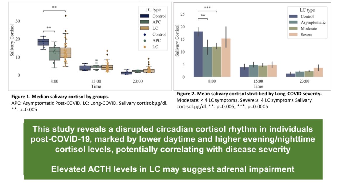MartaCamici's tweet image. I am excited to have had the opportunity to present our data on the salivary cortisol rhythm in #LongCovid at #CROI2025. Further studies are needed to investigate its role in symptom development and the potential for hormonal supplementation in this syndrome. @andreaantinori