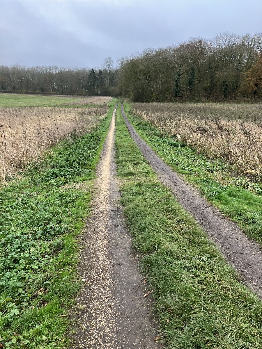 A snapshot of what SFI has and could have achieved for nature and food…incredibly disheartening that the huge willingness from farmers to produce public goods from public money cannot be fulfilled <a href="/NFUtweets/">National Farmers' Union</a> <a href="/BBCLookEast/">BBC East</a> <a href="/VictoriaAtkins/">Victoria Atkins</a>  <a href="/_RobbieMoore/">Robbie Moore MP</a> <a href="/CLAEast/">CLA East</a> <a href="/suffolkwildlife/">SuffolkWildlifeTrust</a>