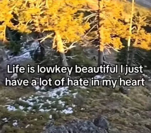 equine__dentist's tweet image. 