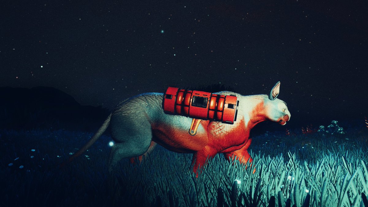 🐅 Journey #NoMansSky #NMS #Nmsphotography #NoMansSkyWorldsPt2 <a href="/NoMansSky/">Sean Murray</a>