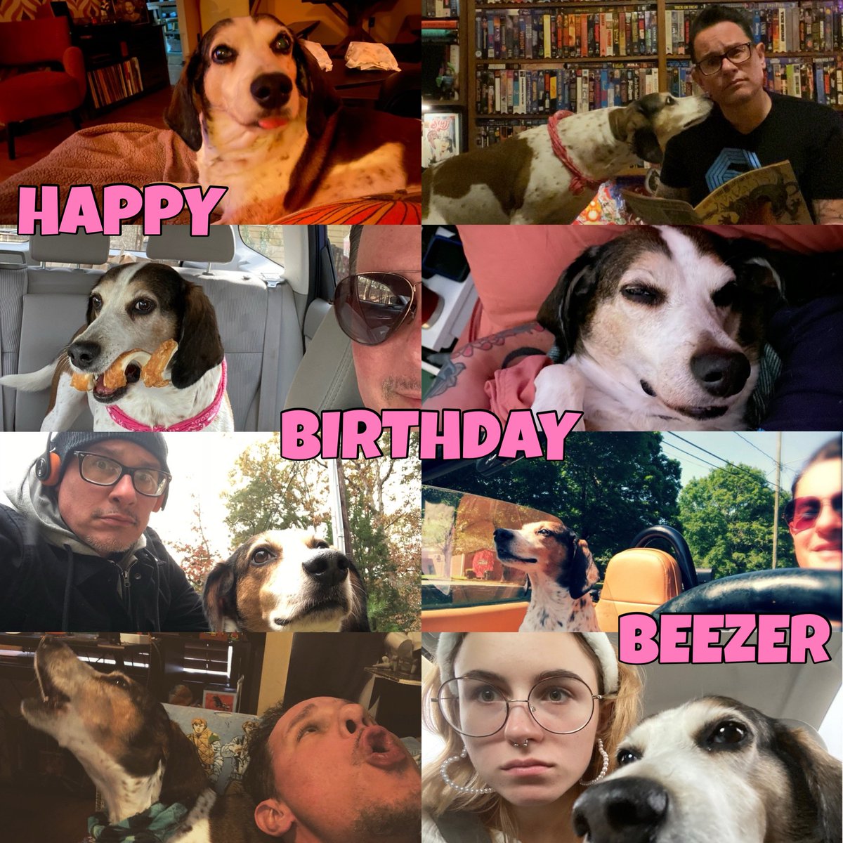BrocktnMckinney's tweet image. Happy Birthday to the greatest dog, my dog, Beezer ❤️