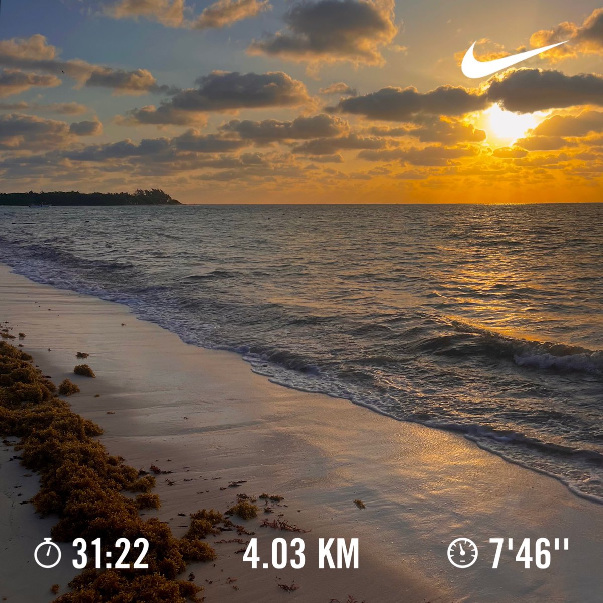 fboneta's tweet photo. Repetimos dosis por la 5a. Av. y la Playita; corrí 4.03 km + pushups + handstand + fierros callejeros + nadada caribeña #oldschool #endorphinejunkie #horafeliz https://t.co/abbaW2C8d0