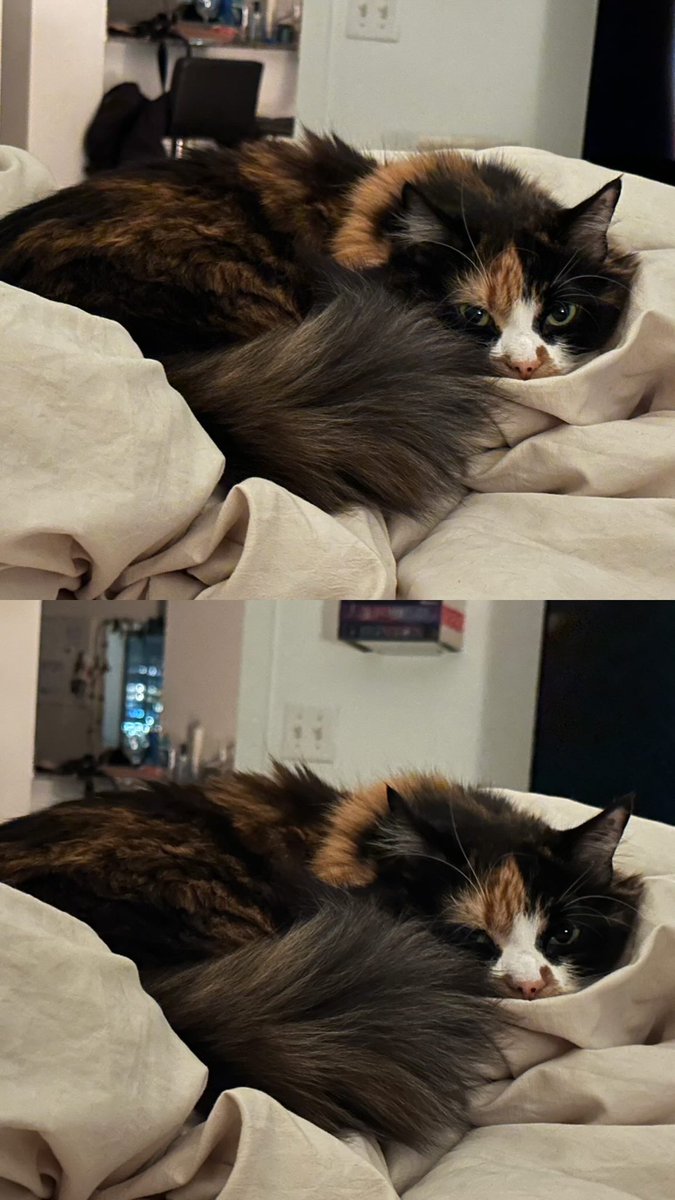 October is a Soot Sprite