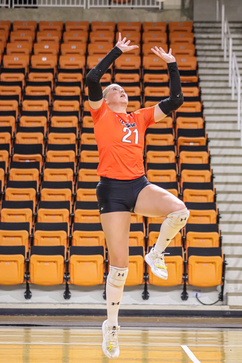 MercerBearsVB's tweet image. Did you miss us?

#BearDown | #RoarTogether