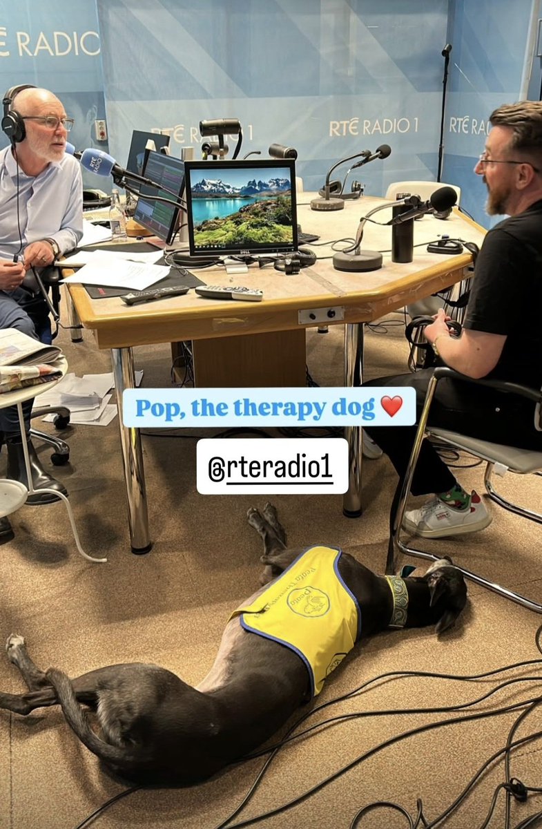 Lisa Dunne (@lisadunne15gma1) on Twitter photo Pop the ICU therapy dog. Making his appearance at RTE to join Joe. Speaking about the role of Peata Pet Therapy within the ICU. A wonderful interview highlighting the benefits of pet rescue and rehoming greyhounds. <a href="/ICUTallaght/">@ICUTallaght University Hospital</a> <a href="/PeataIreland1/">Peata Ireland</a> Pop the ICU therapy dog. Making his appearance at RTE to join Joe. Speaking about the role of Peata Pet Therapy within the ICU. A wonderful interview highlighting the benefits of pet rescue and rehoming greyhounds. <a href="/ICUTallaght/">@ICUTallaght University Hospital</a> <a href="/PeataIreland1/">Peata Ireland</a>