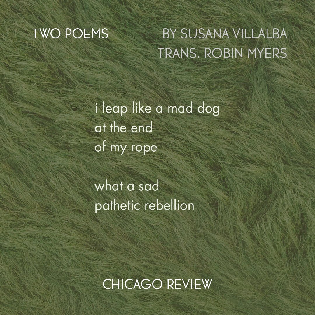 chireview's tweet image. Two poems by Susana Villalba and translated by Robin Myers (@robinepmyers) are now on our website. You can read more of "The Dog" and "The Stone" here: