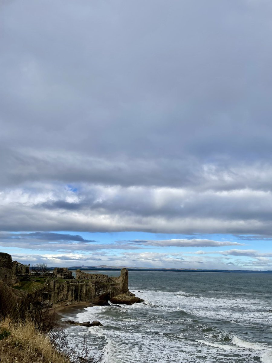 Marta Bagüés Bautista tweet media