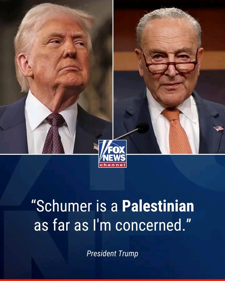 President Trump torches Sen. Chuck Schumer, says the Democrat leader is "not Jewish anymore." Follow developing details on this breaking news story.