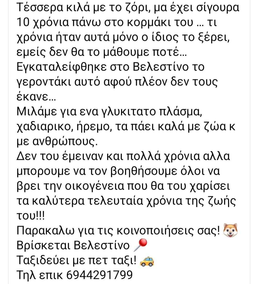 🆘️🆘️🆘️
Μόλις 4 κιλά ο Snowy εγκαταλειφθηκε στο Βελεστίνο 
Είναι 10 χρονών ένα γλυκύτατο πλασματακι χαδιαρικο ήρεμο τα πάει πολύ καλά με άλλα ζωάκια κ ανθρώπους
Ας τον βοηθήσουμε να βρει μια οικογένεια που θα του χαρίσει τα καλύτερα τελευταία χρόνια της ζωής του
Rt 🙏 🙏 🙏