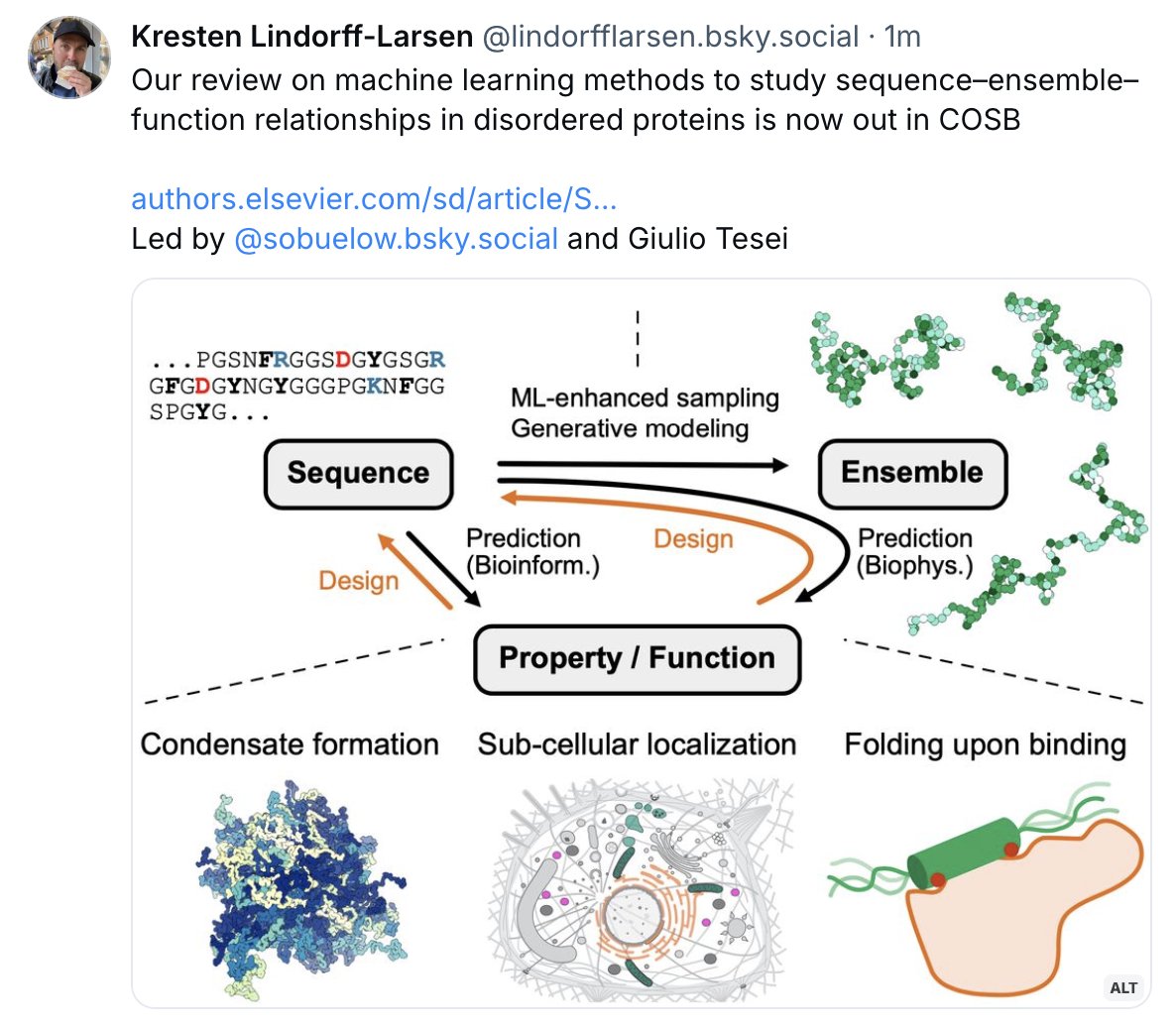 Our review on machine learning methods to study sequence–ensemble–function relationships in disordered proteins