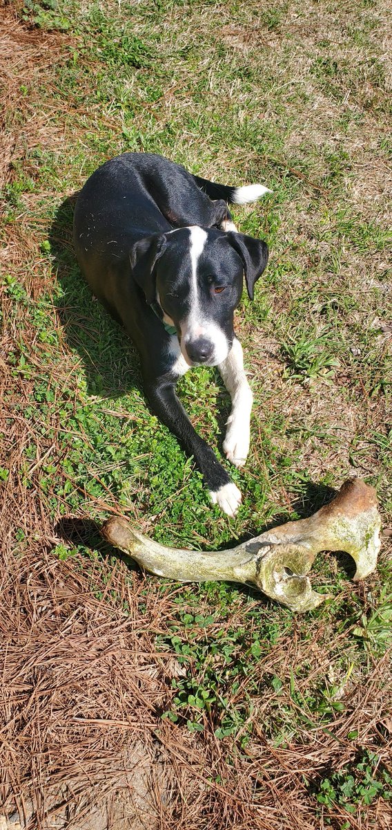 Ok..... Hear me out.....I can explain