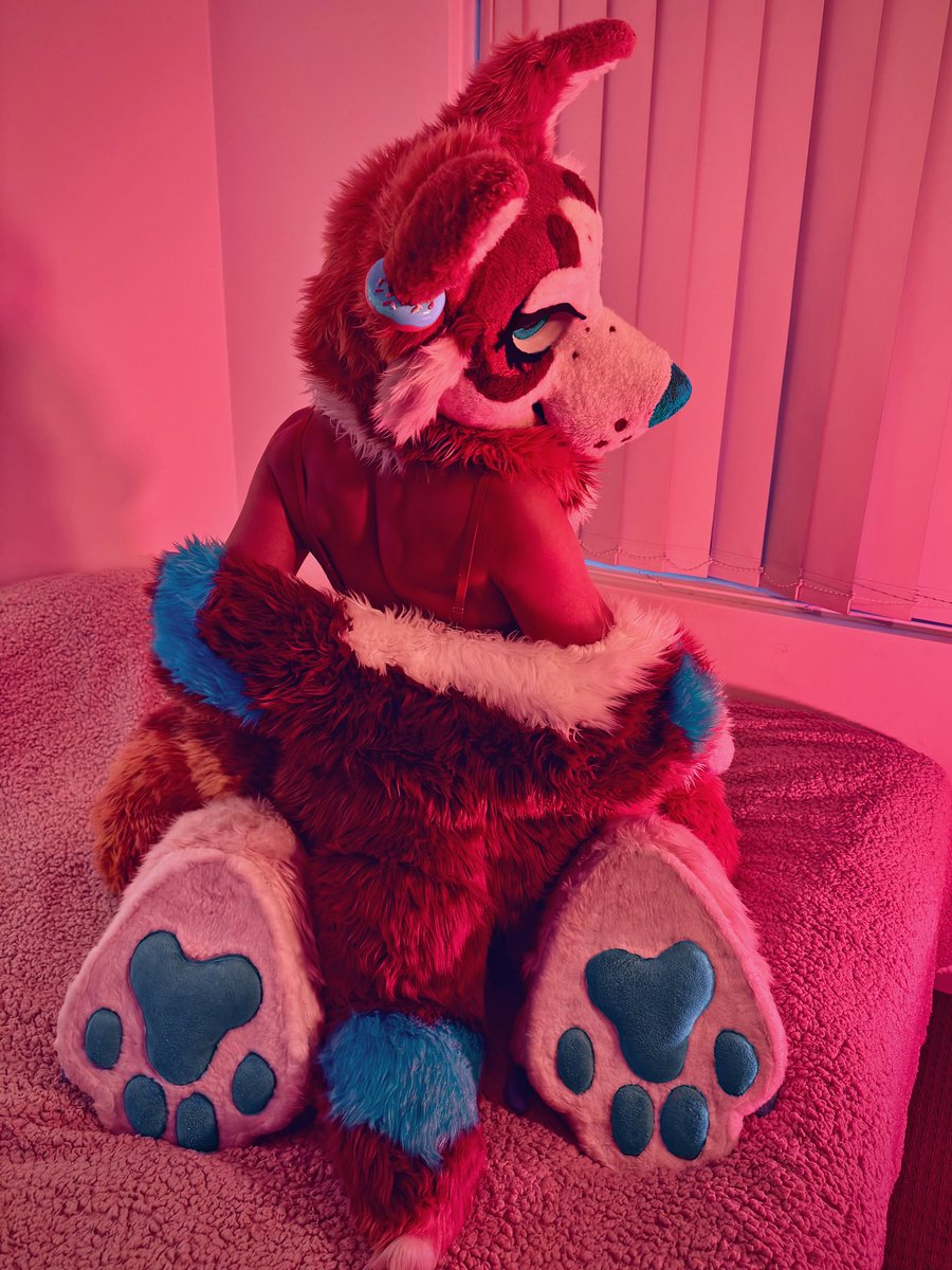 …and she smelled like donuts. 

📸 <a href="/Mawdy14/">Lil’ Maxie</a> 
Lights by Sunny