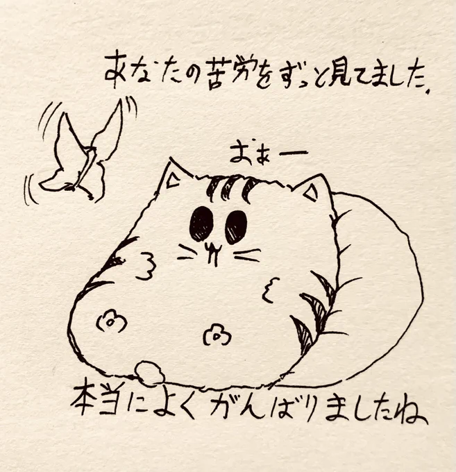 もち虎さんはいつも見守っている🐯 