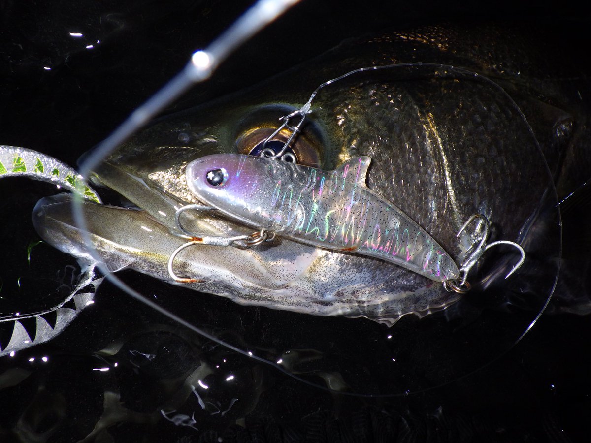 i_01222's tweet image. ◆アミパターン攻略とルアー(ナイト)◆
ナイトゲームで河川河口域におけるアミパターン攻略👍

まだナイトゲームのアミパターンは続くので、参考にしていただけると嬉しいです🙇🏻‍♂️

【fimoブログ】
fimosw.com/u/nyakky/gmjgm…

#fimoブログ
#LEGARE
#アミパターン
#東京湾奥
#シーバス
#PR