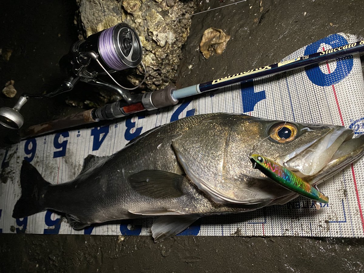 i_01222's tweet image. ◆アミパターン攻略とルアー(ナイト)◆
ナイトゲームで河川河口域におけるアミパターン攻略👍

まだナイトゲームのアミパターンは続くので、参考にしていただけると嬉しいです🙇🏻‍♂️

【fimoブログ】
fimosw.com/u/nyakky/gmjgm…

#fimoブログ
#LEGARE
#アミパターン
#東京湾奥
#シーバス
#PR