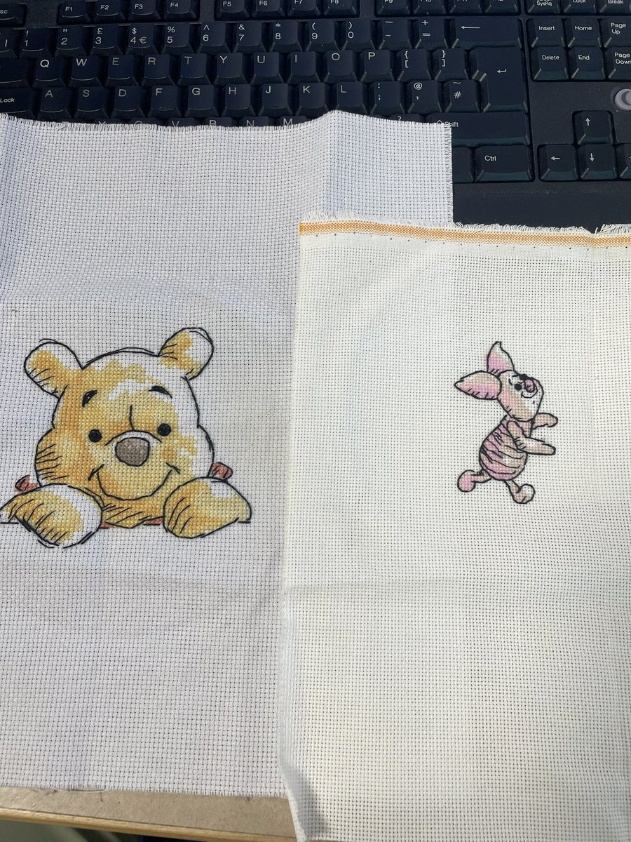 Our FHT ambassador, Georgia, has been developing her tapestry skills for her Gold D of E, which she has now achieved. Absolutely beautiful work. Well done Georgia!🤩 🧵 🪡