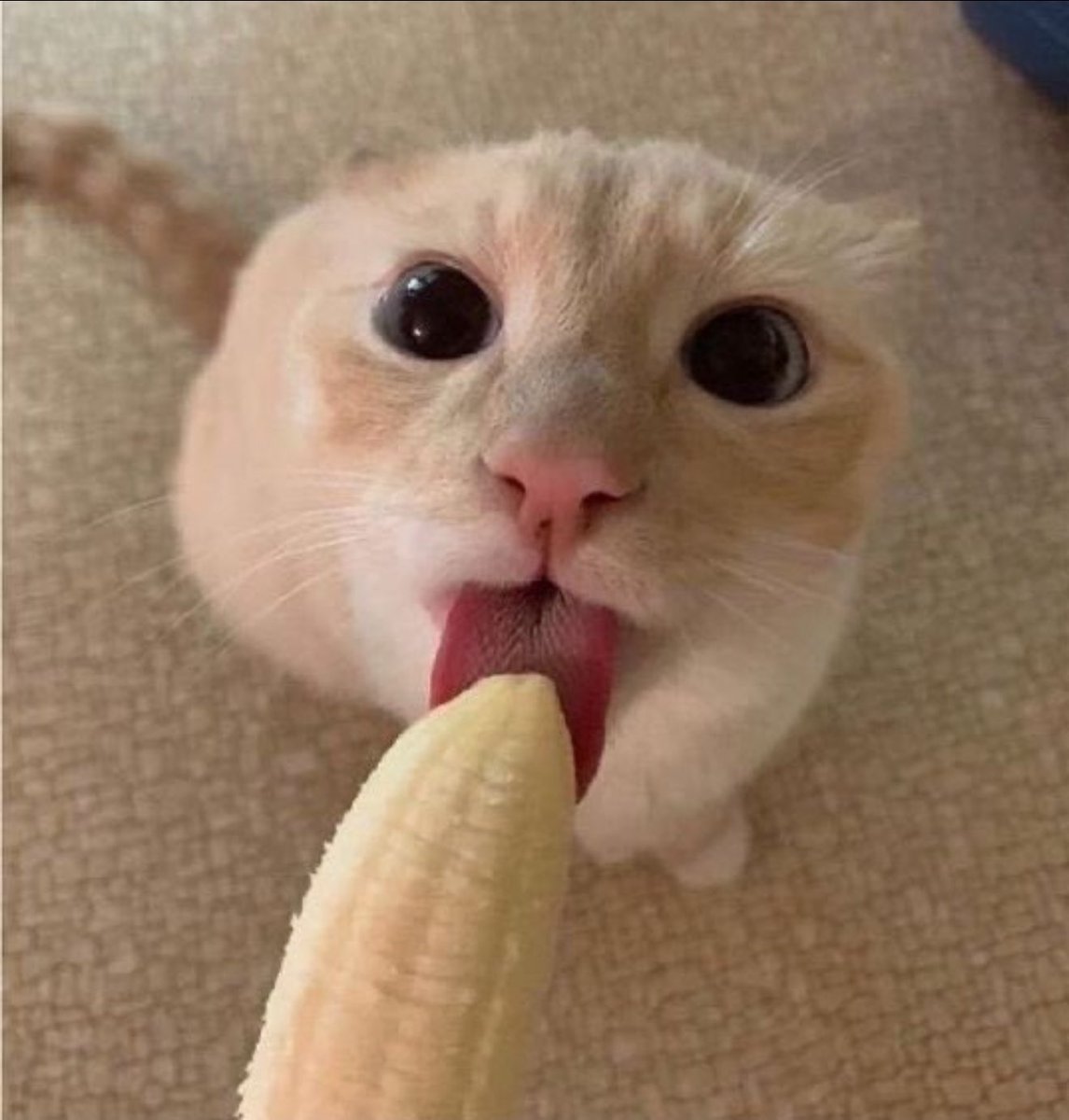 疼痛 (@peingep) on Twitter photo 