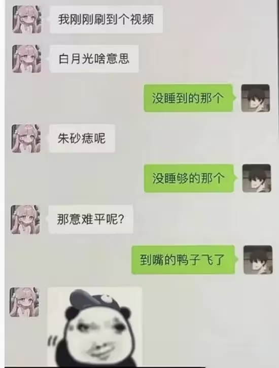 雲鳩 tweet media