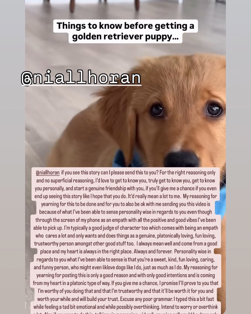 AprilVSutton's tweet image. Post 1 of 2 for @NiallOfficial  to see, I hope to god he sees these posts I’m posting and tagging him in. I yearn for and dream for him to do.I really want for him to. I know if he’d just give me a chance it’d be worth it for him just as much as me. I know I’d do right by him.