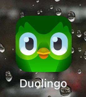 Angeuz's tweet photo. Que miedo 😱, Duolingo se re instaló solo en mi cel @duolingoespanol https://t.co/WqLSz0SAWL