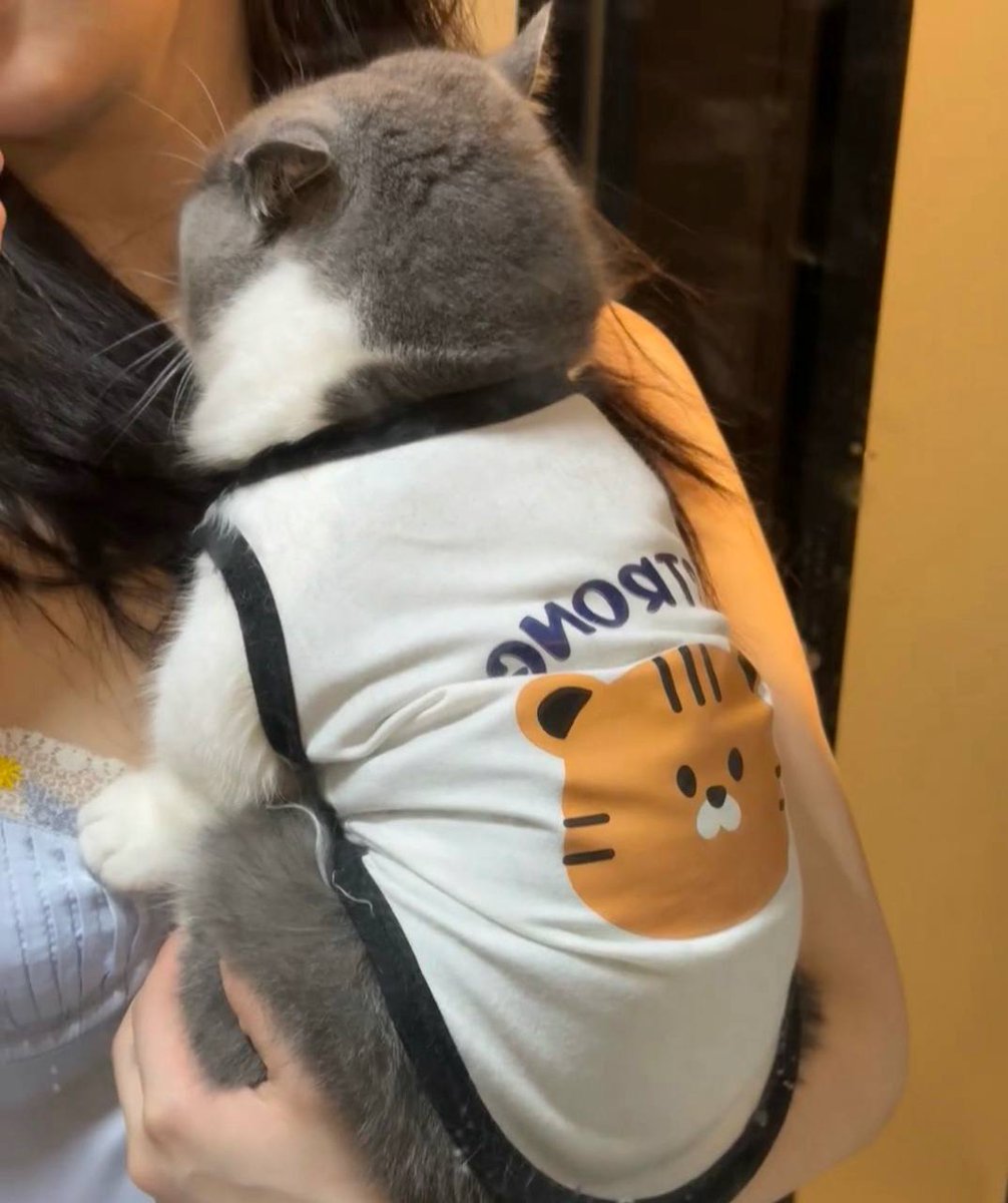 How adorable! 🐾❤️ #CatLover #MeowMagic