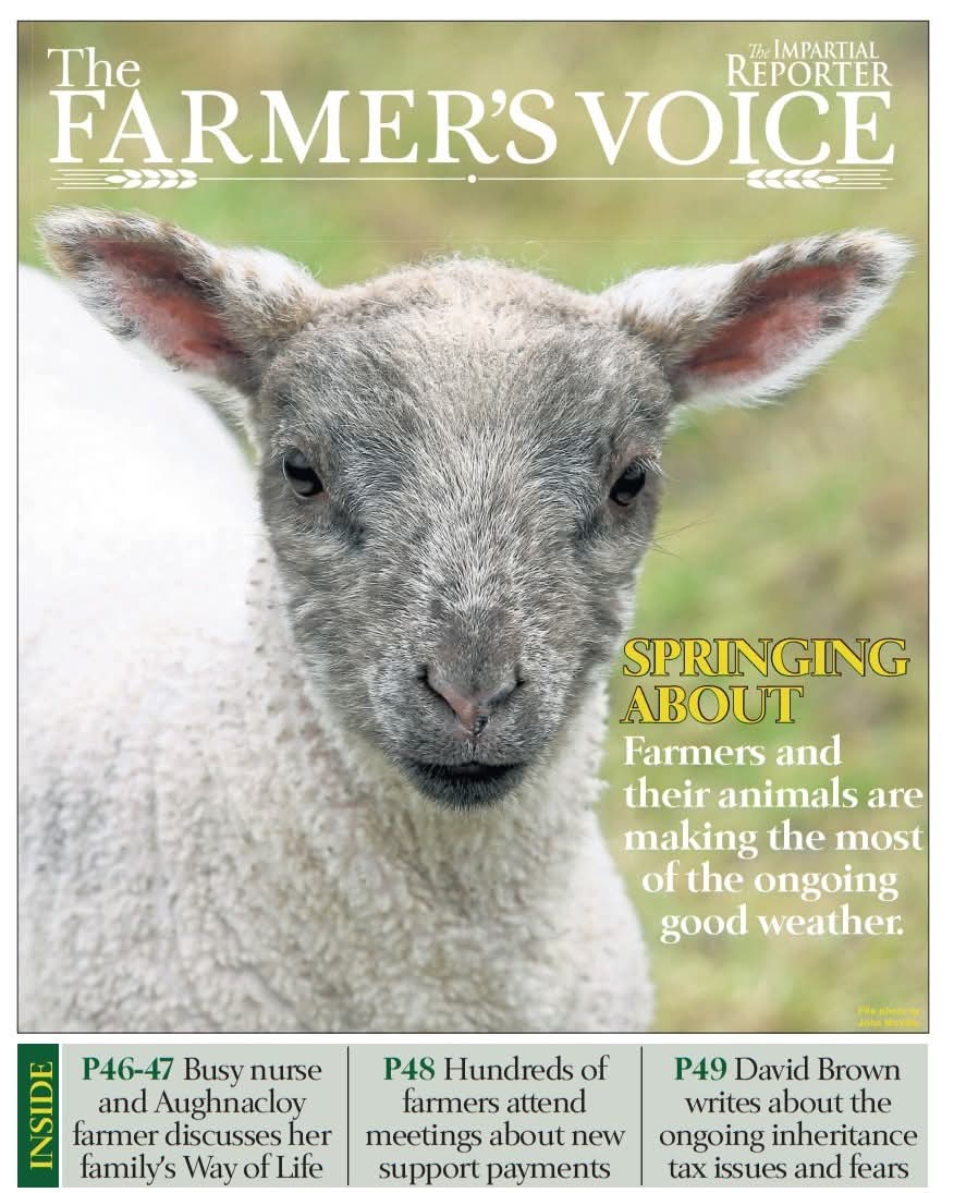 William Smith tweet media