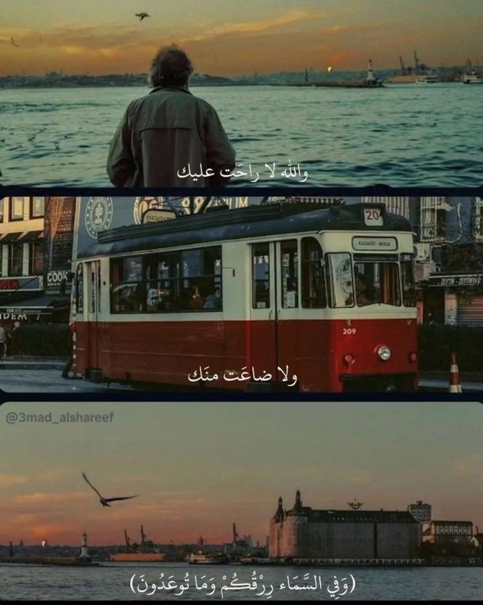 Fahad (@fahad_alsulami9) on Twitter photo 