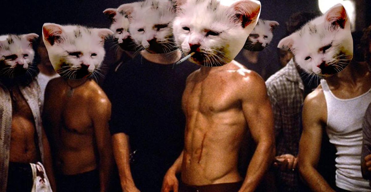 if you’re reading this

you’ve been around long enough to know the real $tired

4WzLp3sV5uReVvxatfYmxoJWH7fY65QZBbcSAF76pump

shit, if you’ve been here that long you’d notice tired dad is fully manipulated, not a single real buyer 😭

We’re not retail, we’re trench warriors