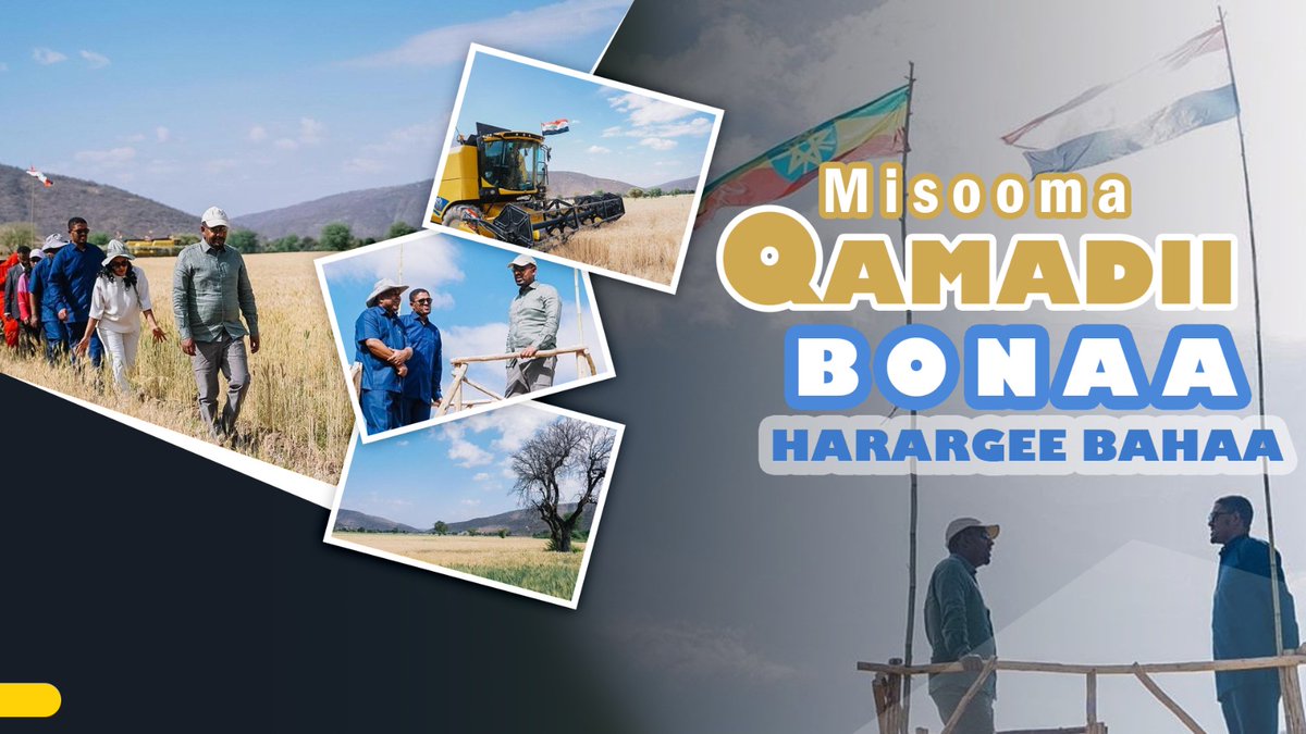 Naannawaan Gammoojjii Godina Harargee Bahaa waggoottan dura sagantaa seeftineetiin deeggaramaa ture, jijjiiramee misooma qamadii bonaan bu’a qabeessa ta’eera .
