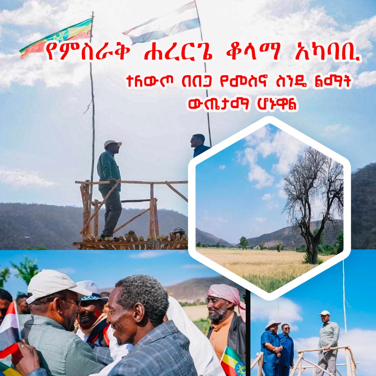 ከዓመታት በፊት በሴፍቲኔት ይታገዝ የነበረው የምስራቅ ሐረርጌ ቆላማ አካባቢ ተለውጦ በበጋ የመስኖ ስንዴ ልማት ውጤታማ ሆኗል።