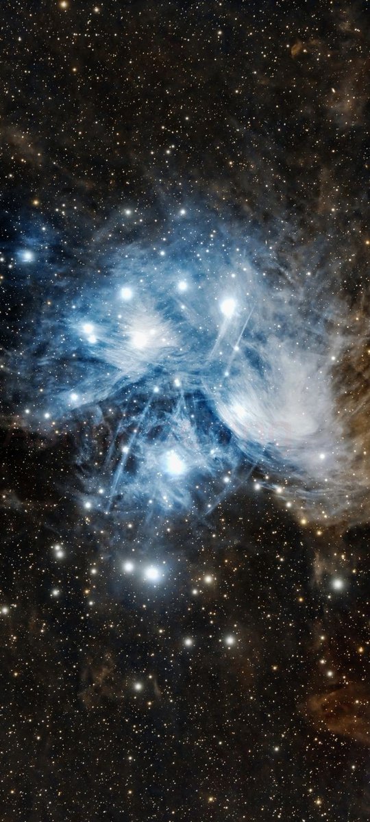 maiz_julio's tweet image. M45 Pleiades Star Cluster by 📷 Clemens  Fischer.