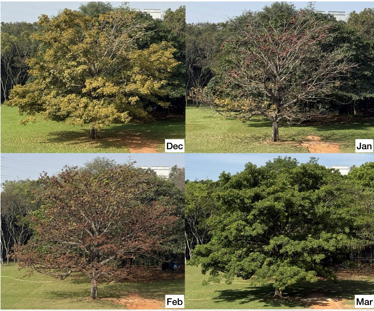 bbmspeaks's tweet image. @NCBS_Bangalore