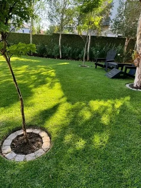 Am Makombe Cleophus,  071 828 071 828 0908.  Am looking for part time job as a gardener cleaner or painting  , and am doing like this 

=Weeds control pull out Weeds 
=pruning and trimming shapping plants 
=Mowing  Lawn grass and trimming shapping plants
